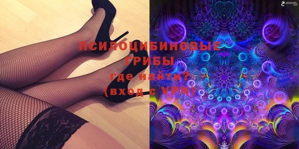 стаф Алексеевка